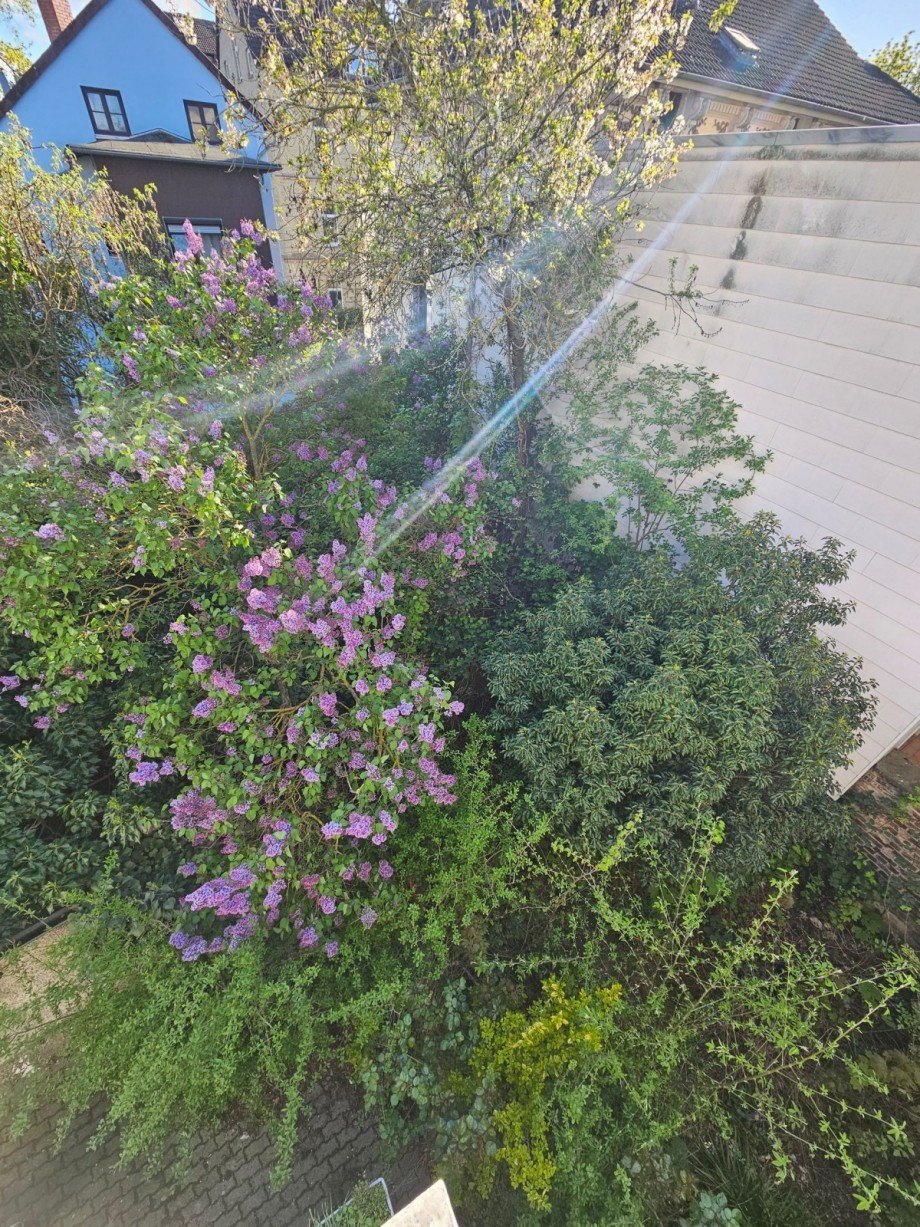 EIGENER GARTEN 2 Erdgeschosswohnung Braunschweig