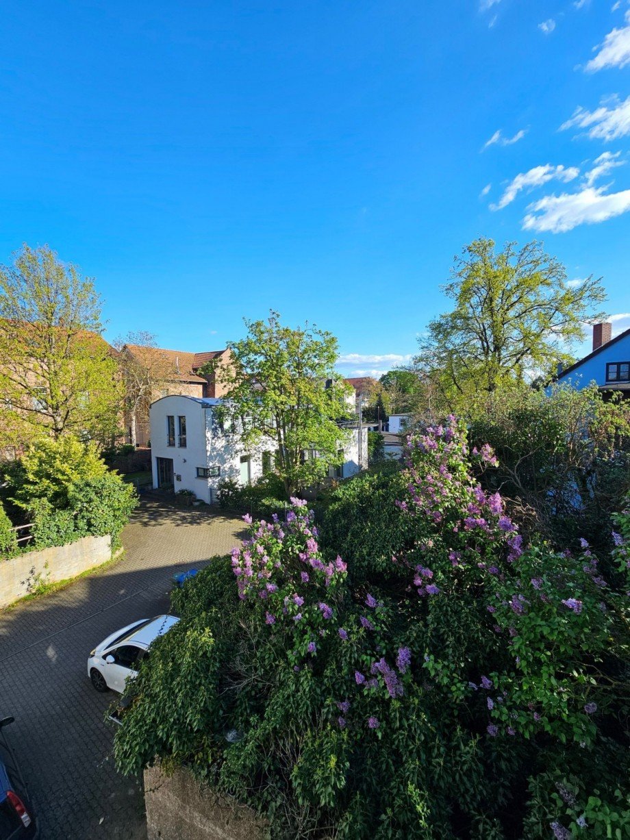 BLICK IN DEN INNENHOF Erdgeschosswohnung Braunschweig