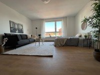 Hauptbild Lichtdurchflutetes Apartment mit 38 m� Wohnfl�che im 2. OG - Braunschweig, Petristra�e