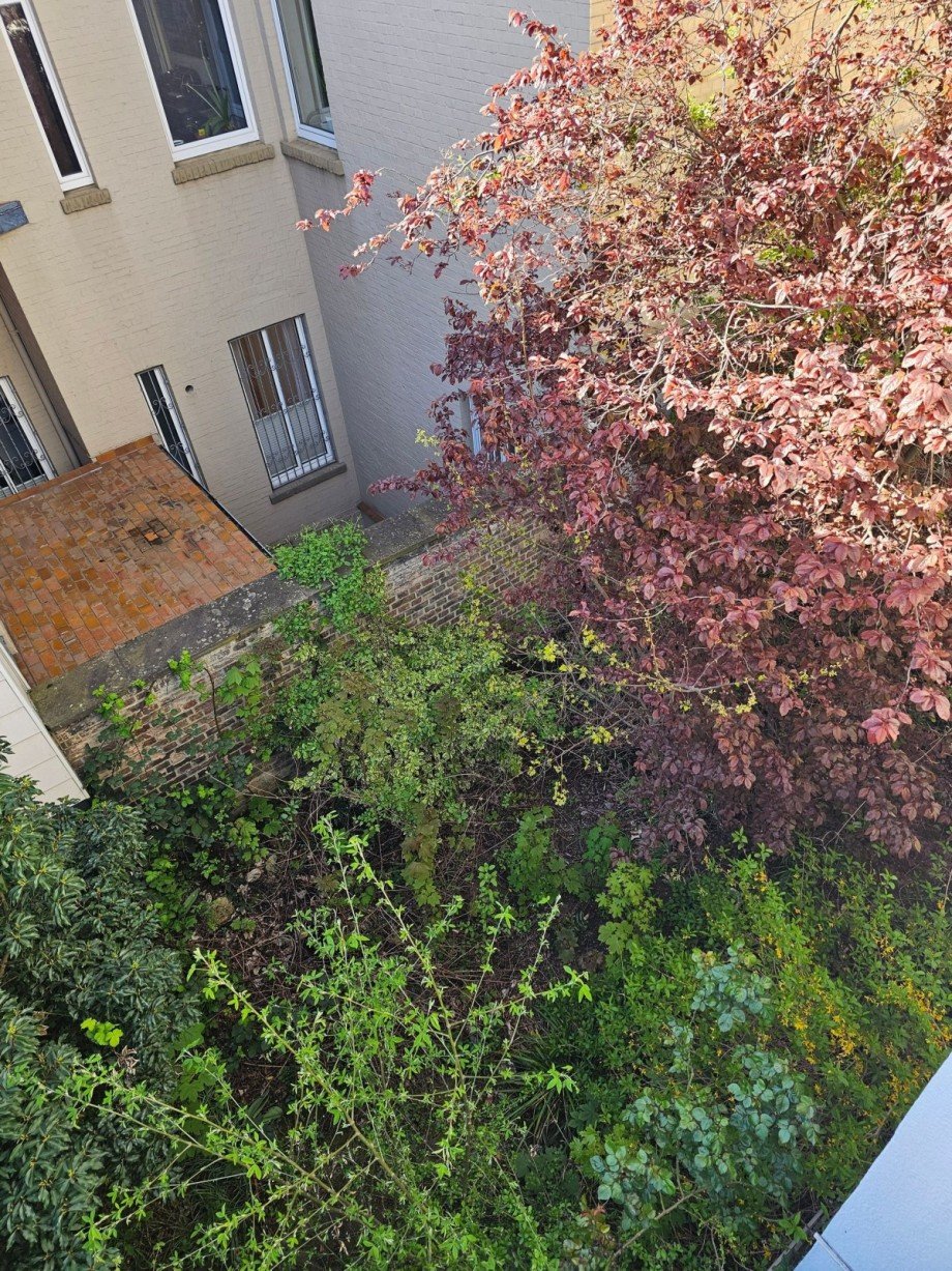 EIGENER GARTEN Erdgeschosswohnung Braunschweig