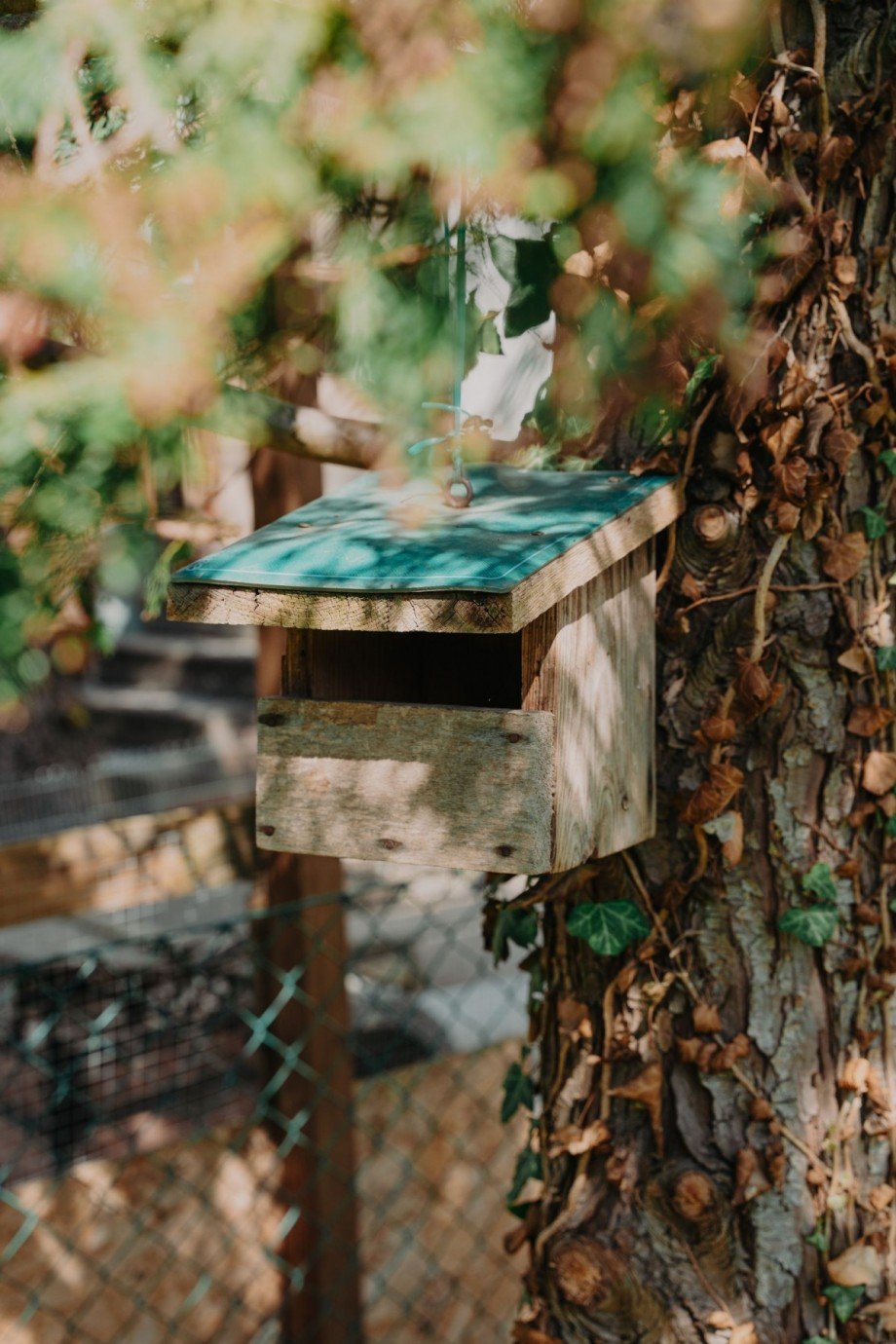 Garten 2 Reihenmittelhaus Hannover