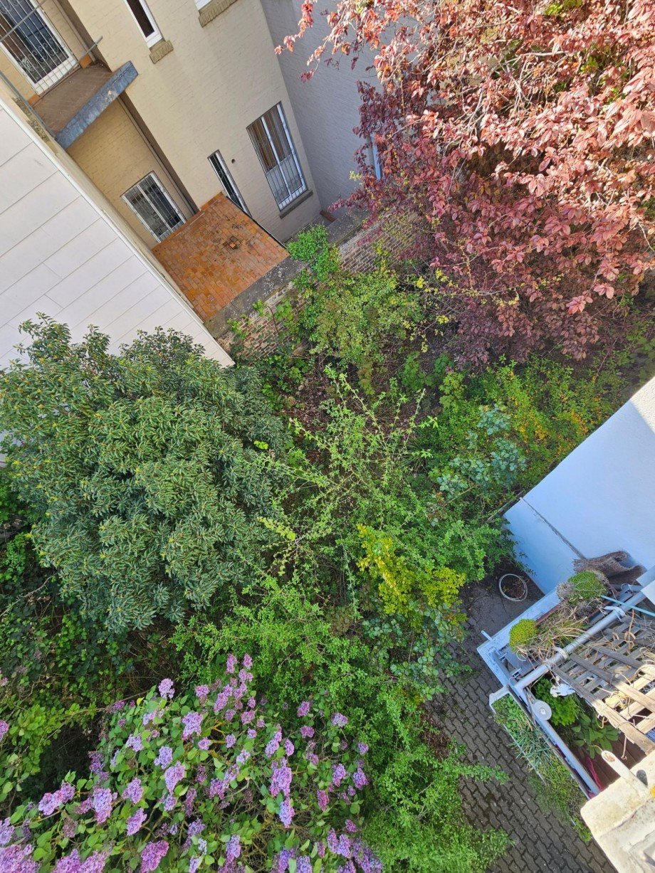 EIGENER GARTEN 3 Erdgeschosswohnung Braunschweig