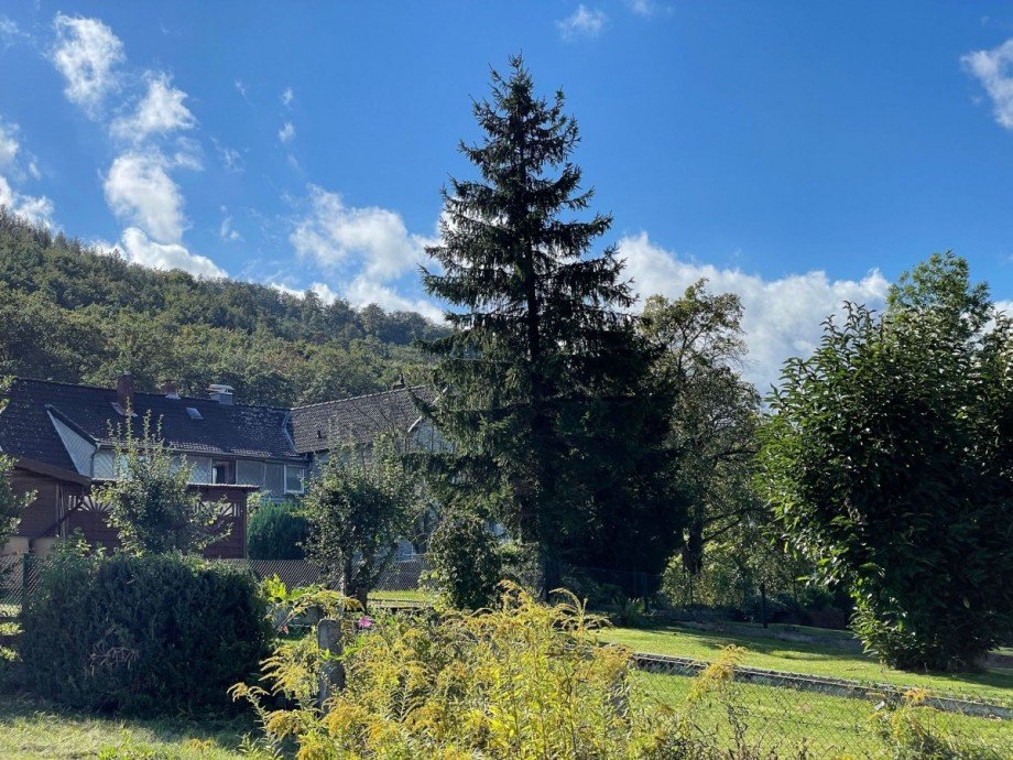 Au�enansicht 2 Einfamilienhaus Goslar-Oker